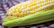 Kukurydza - odmiany, właściwości, przepisy