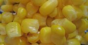 Słodka kremowa kukurydza w puszce