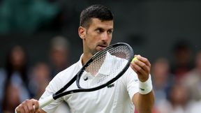 W grze Novak Djoković i Polacy. Oto plan na poniedziałek w Wimbledonie