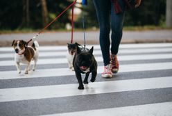 Spacer a odchudzanie - korzyści płynące z chodzenia