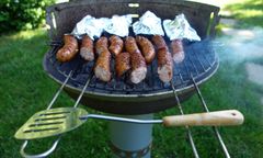 W tych miejscach za rozpalenie grilla grozi mandat. Przeczytaj przed majówką