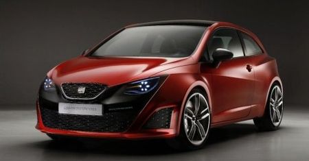 Seat Ibiza 2008 - wczesną jesienią w Polsce