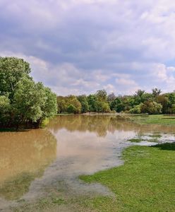 Zarządzanie zasobami wodnymi. Jak Fundusze Europejskie wspierają ich ochronę w czasach zmian klimatycznych?