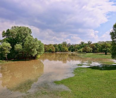 Zarządzanie zasobami wodnymi. Jak Fundusze Europejskie wspierają ich ochronę w czasach zmian klimatycznych?