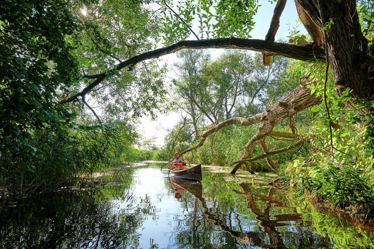 Mescherin: powiat Uckermark - kilkadziesiąt kilometrów od Polski