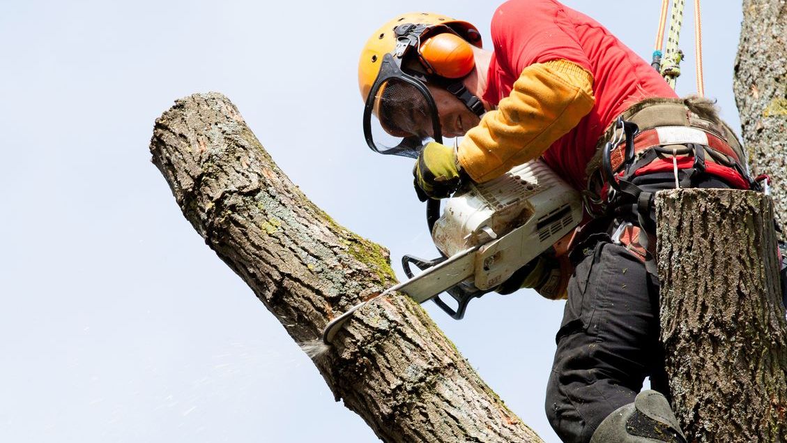 Nowy pomysł nie spodobał się na razie rządowi