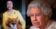 Nie żyje ostatni pies corgi Elżbiety II. "Królowa jest ZDRUZGOTANA"