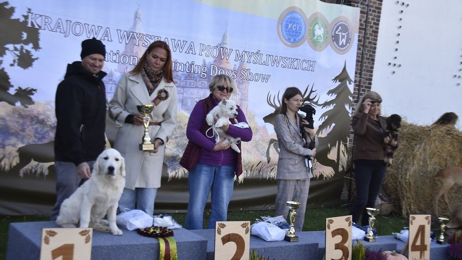 Wspaniała I Krajowa Wystawa Psów Myśliwskich w Szczawnie-Zdroju
