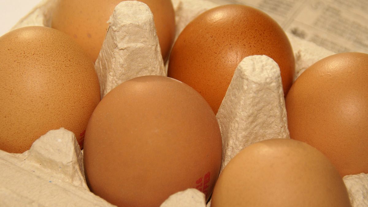 Jajka mają wiele cennych właściwości zdrowotnych.