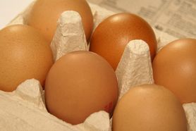 Jajka - klasyfikacja, wartości odżywcze, właściwości, jajko w koszulce