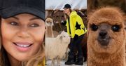 Edyta Górniak zacieśnia relacje z ALPAKAMI na Podhalu (ZDJĘCIA)