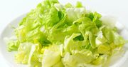 Sałata lodowa – charakterystyka, wartości odżywcze, zastosowanie, wybór
