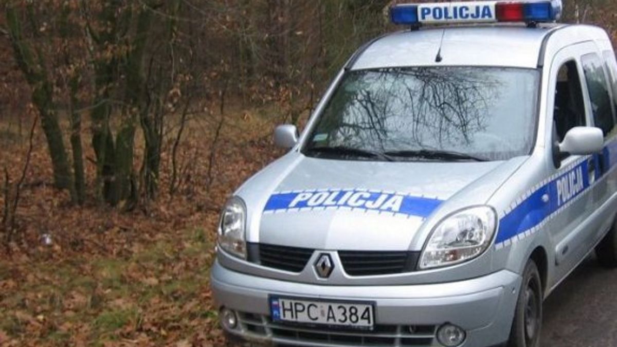 Na terenach zielonych w okolicach ul. Chrzanowskiego w Toruniu spacerowicz natknął się na ludzkie zwłoki.