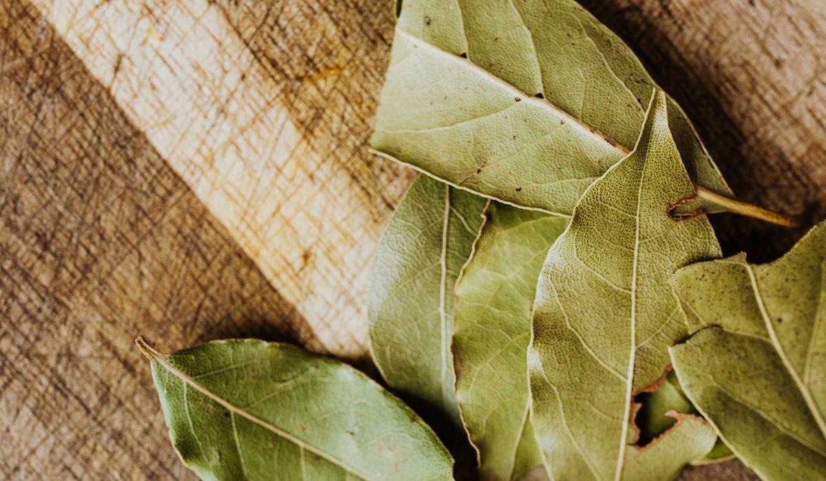 Liście laurowe - przepis na napar. Fot. Pexels