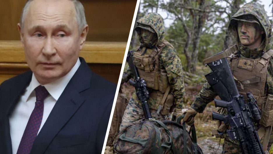 Władimir Putin / Szwedzka armia