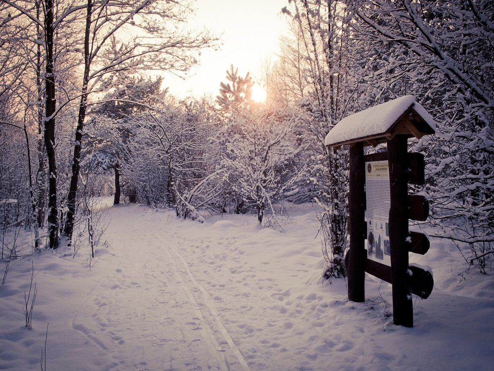 Kampinoski Park Narodowy zimą