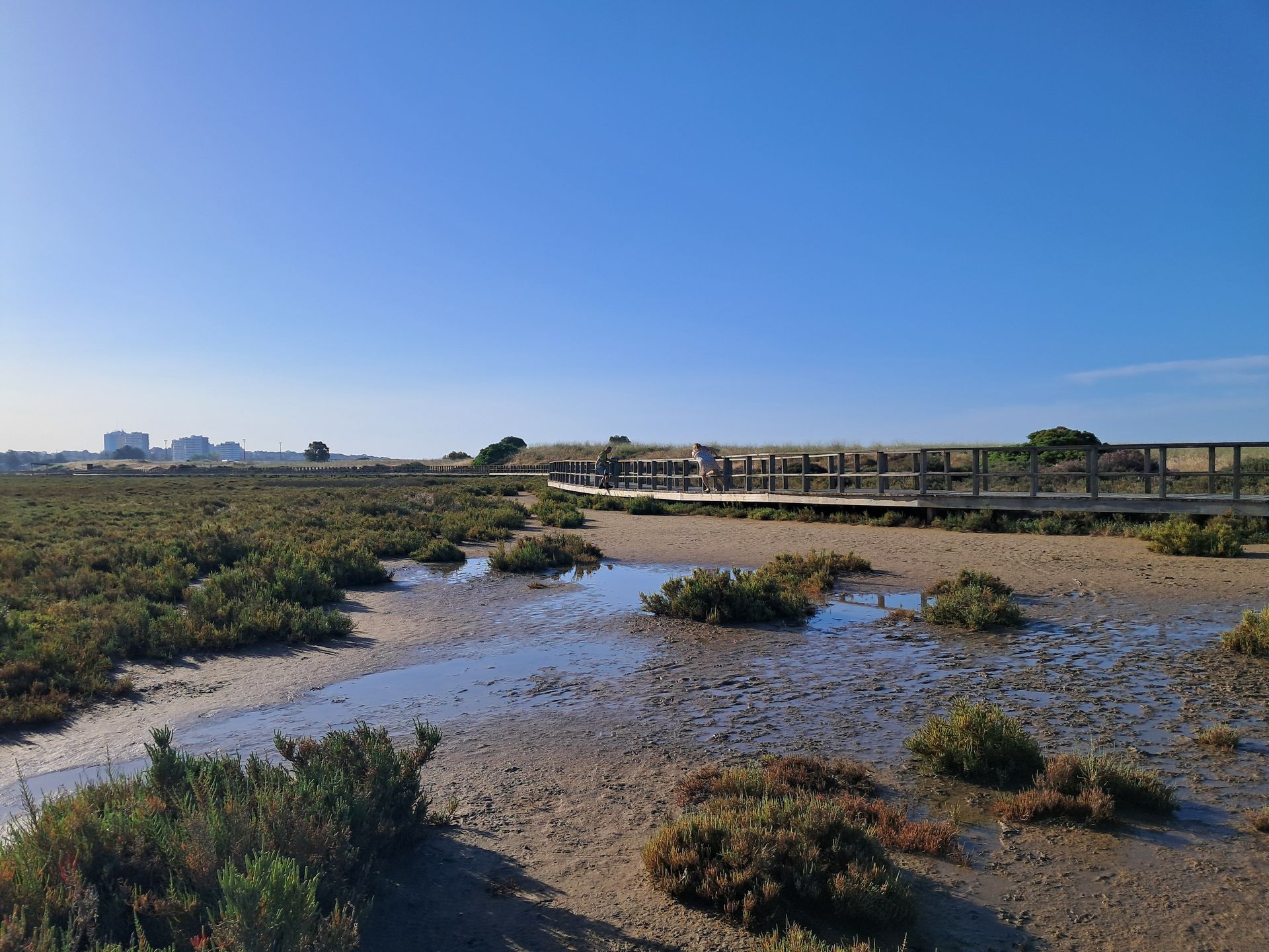 Szlak  Ria de Alvor prowadzi przez wydmy, równiny i słone bagna