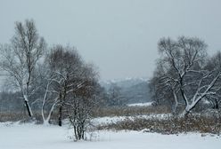 Pierwszy stopień zagrożenia lawinowego