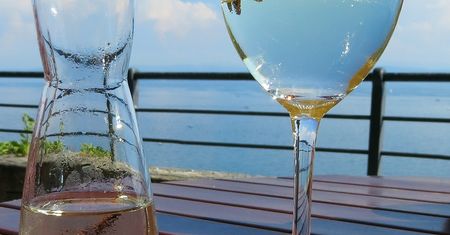 Wino stołowe pinot gris (grigio, białe)