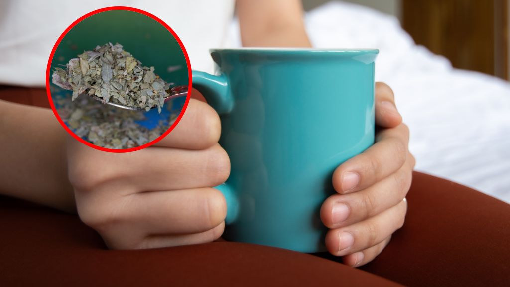 Herbata z senesu w nadmiarze może szkodzić