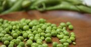 Surowy zielony groszek w jadalnych strąkach