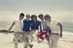 ''1D3D'': One Direction pokaże się w trójwymiarowej toalecie