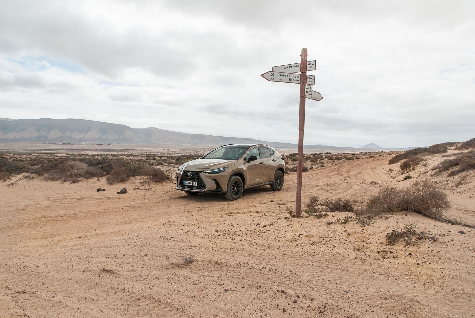 Lexus NX Overtrail