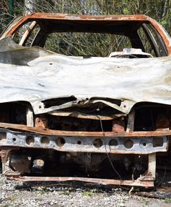 Zagracona Warszawa. Co robi Straż Miejska?