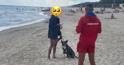 Awantura w Łebie. Ratownicy załamują ręce. "Kochani plażowicze"