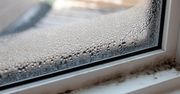 Wetrzyj kroplę w okna. Pozbędziesz się wilgoci i pleśni