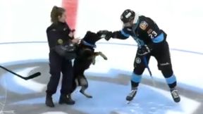 Szokujące sceny na Białorusi. Nie przewidziano, co zrobi pies