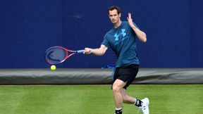 Tenis. Andy Murray wrócił do treningów na korcie. W dniu 33. urodzin