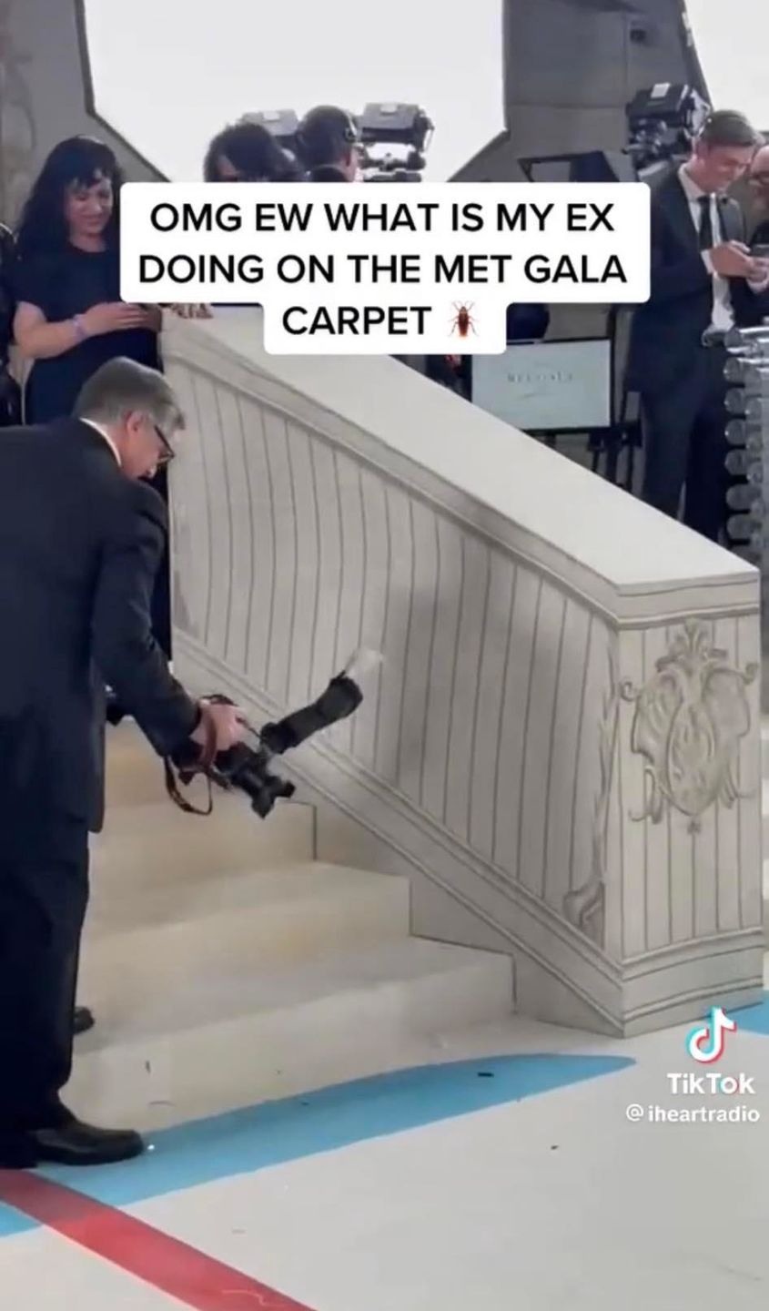 Karaluch na Gali MET