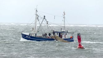 Połów dorsza. Naukowcy biją na alarm. UE wyznacza nowe limity na Bałtyku