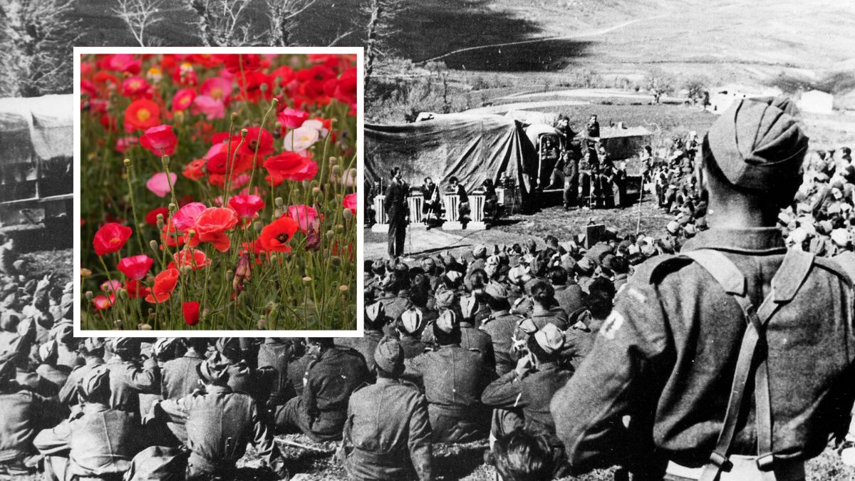 Mija 10 lad od uzyskania przez Polskę praw do "Czerwonych maków"