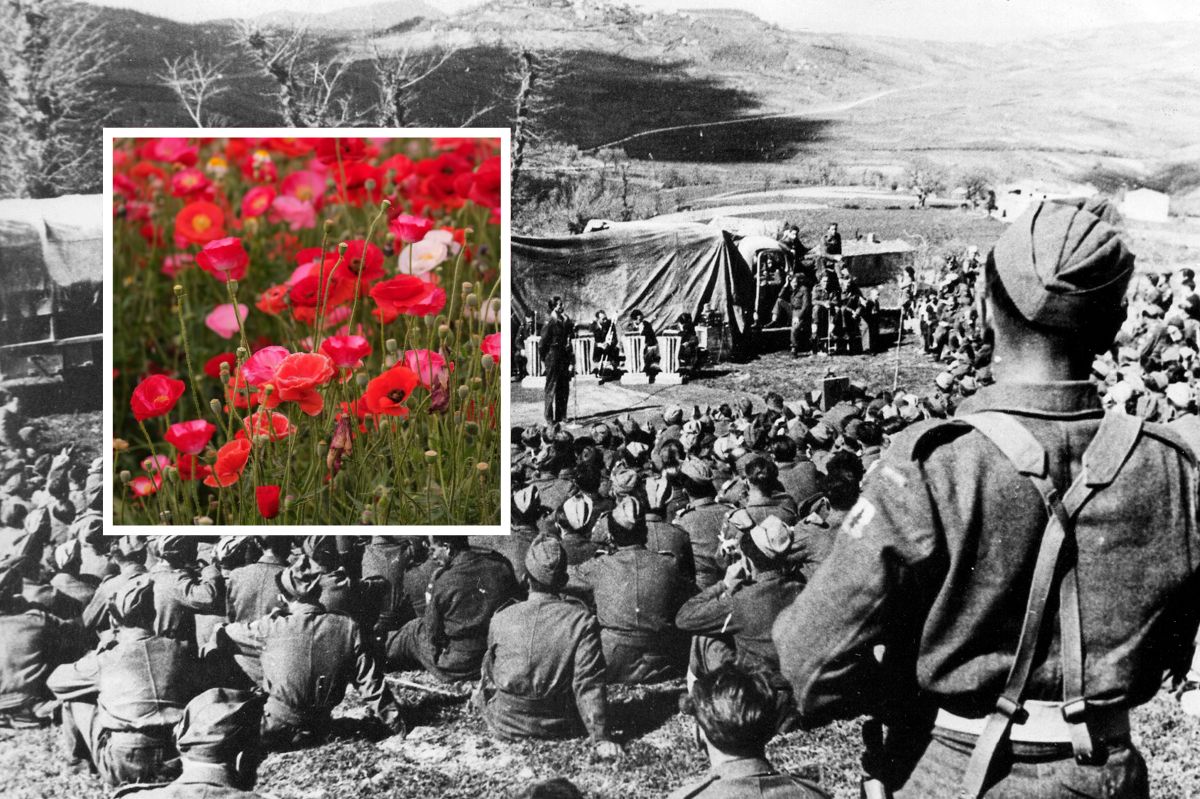 Niemcy pobierali tantiemy za "Czerwone maki nad Monte Cassino". Wyjaśniamy