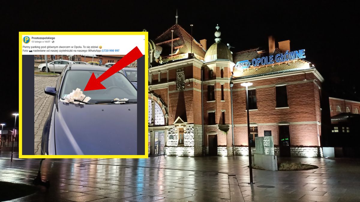 Ten kierowca nałapał sporo mandatów.