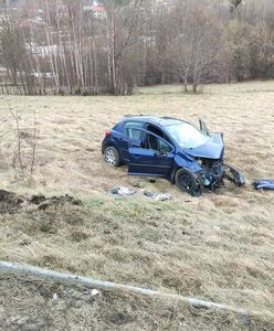 Dramatyczny wypadek w Gruszowcu. Ranni, w akcji LPR