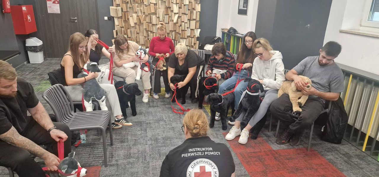 W Płocku rusza kurs "Uratuj życie psa – kurs udzielania pierwszej pomocy psom"