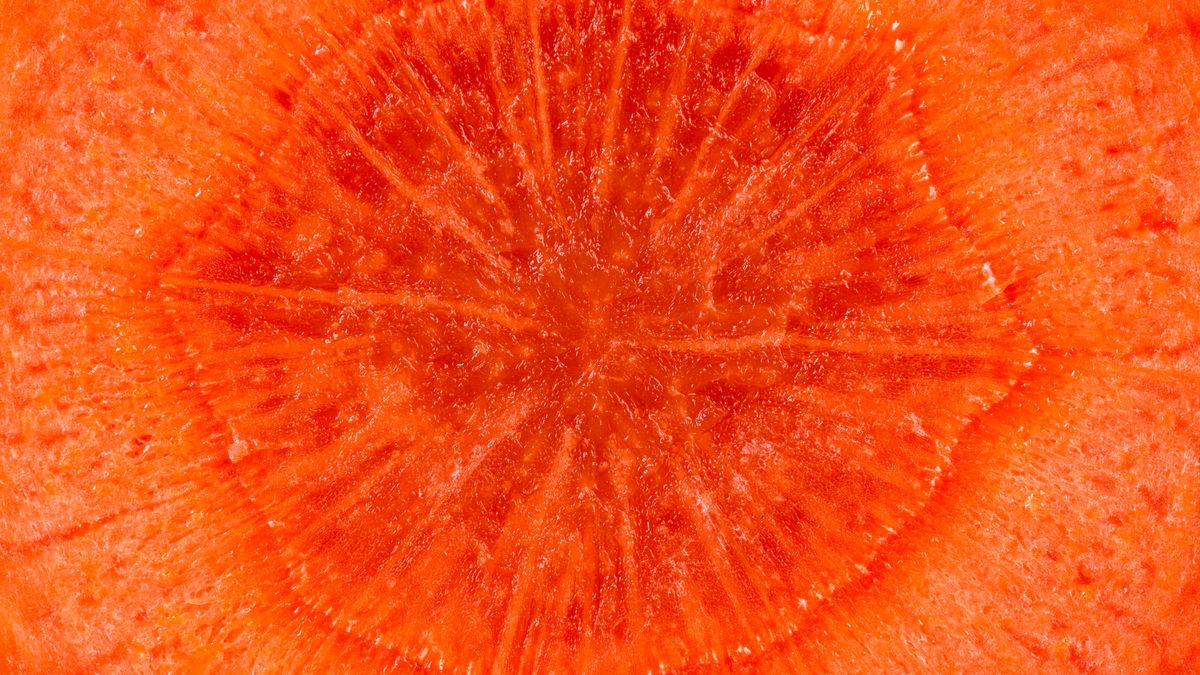 Marchewka i jej właściwości