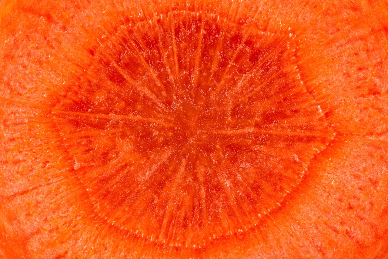 Carrot and its properties
