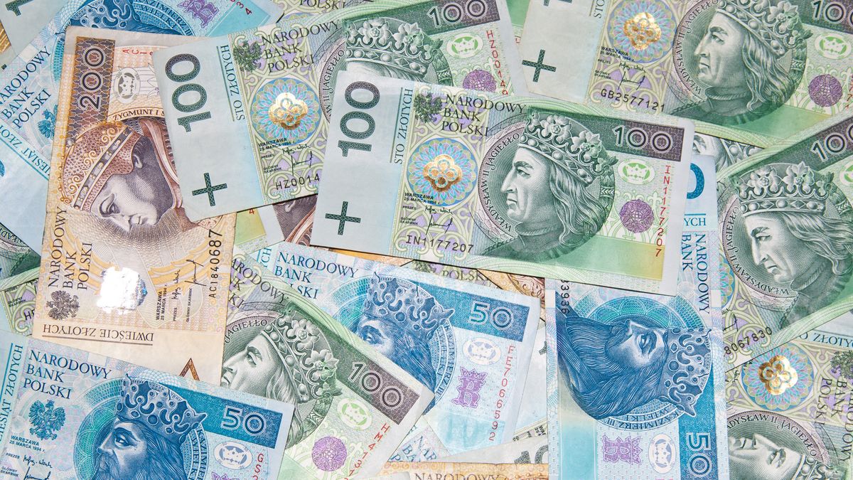 polish money banknotes
money, pln, zloty, banknote, cash, currency, polish, finance, bank, poland, banking, business, wealth, financial, european, savings