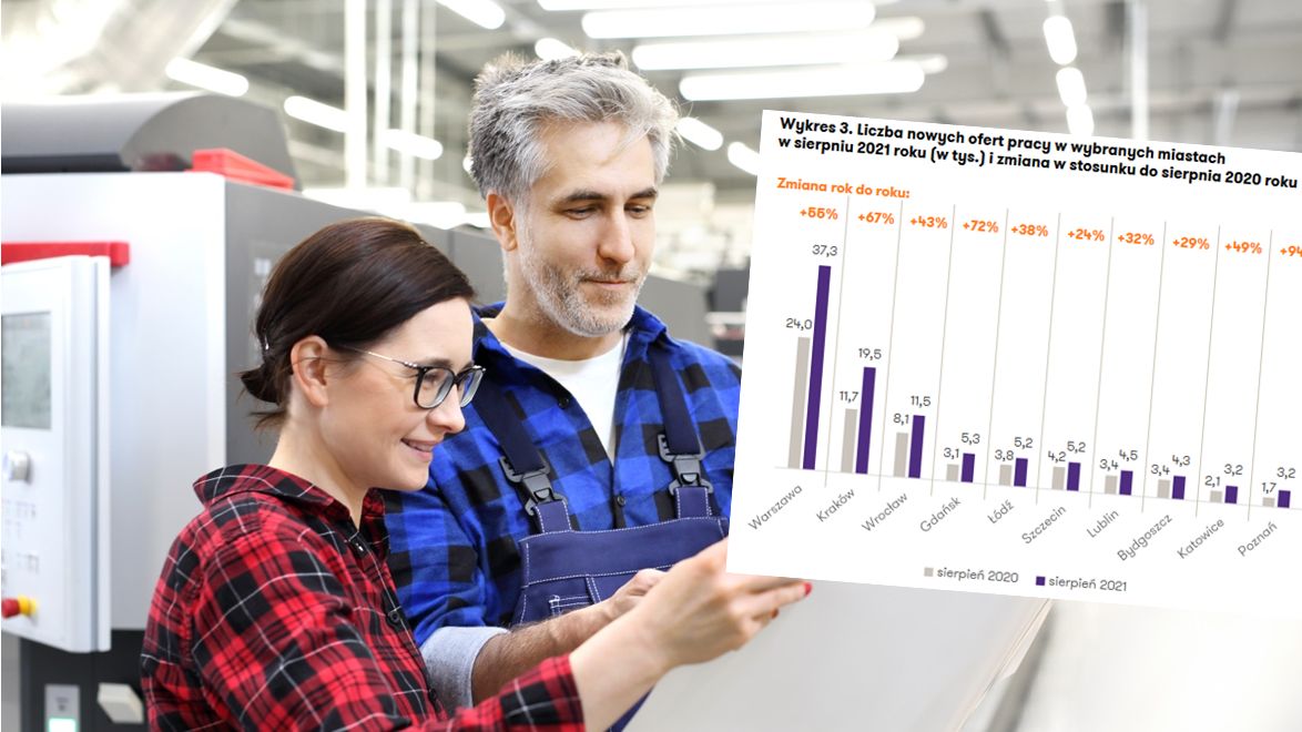 Na rynku nie brakuje ofert pracy
