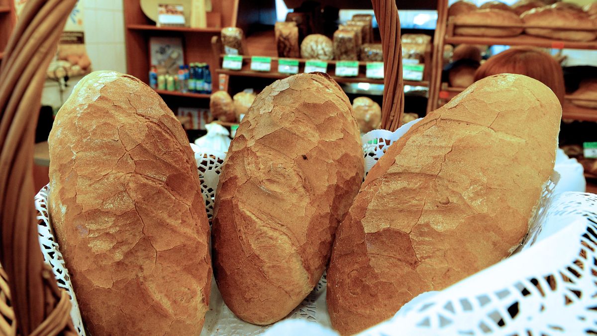 chleb tradycyjnyMarcin Bieleckibochenek, bochenki, chleb, cukiernia, piekarnia, produkt tradycyjny, tradycja, Wojciechowski, wpis na list�, wypiek, wyr�b tradycyjny