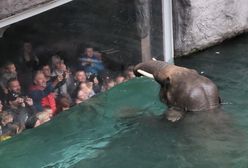 Zoo w Łodzi po sezonie. Odwiedź turystyczny hit bez tłumów