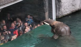 Zoo w Łodzi po sezonie. Odwiedź turystyczny hit bez tłumów