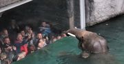 Zoo w Łodzi po sezonie. Odwiedź turystyczny hit bez tłumów