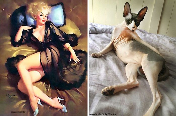Koty, które pozują jak dziewczyny pin-up z dawnych amerykańskich plakatów 5