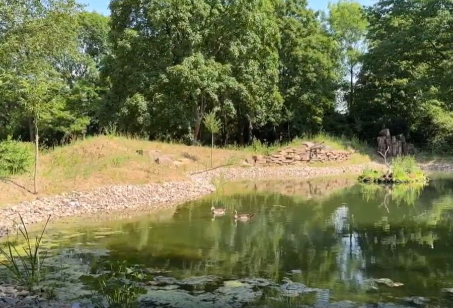 A cemetery teeming with life. A green oasis for local species