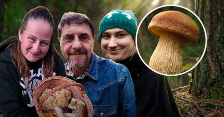 "Amerykanin" opanował polskie lasy. Jest smaczny, ale eksperci ostrzegają